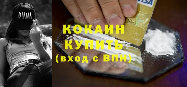 индика Каменск-Шахтинский