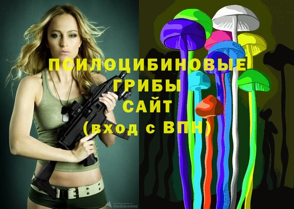 хмурый Болохово
