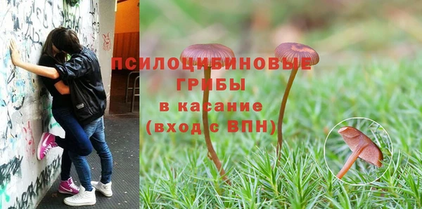 стафф Каменногорск