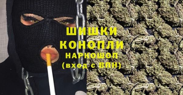дмт Инта