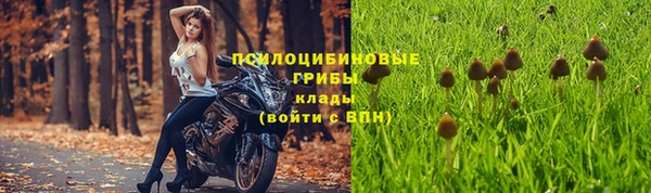 прущий лед Иннополис