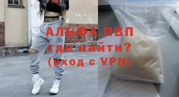 эйфоретик Инсар