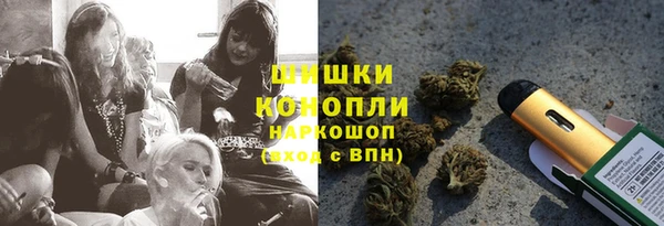 эйфоретик Инсар