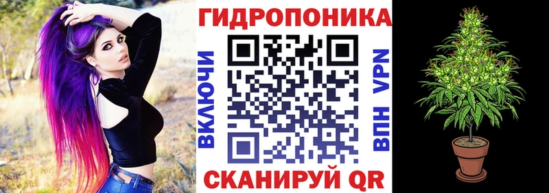 где продают   Каменногорск  Конопля AK-47 